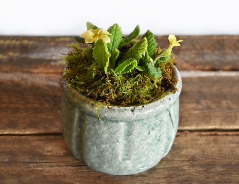 organic easter spring flowers planter organic blooms
