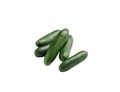 Mini Cucumbers