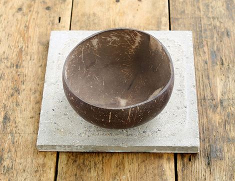 coconut bowl panda packaging