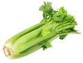 Celery