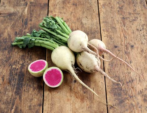 watermelon radish bunch