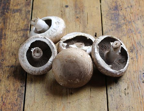 organic portobello mushrooms
