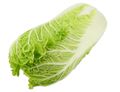 Chinese Leaf
