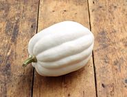 mashed potato squash