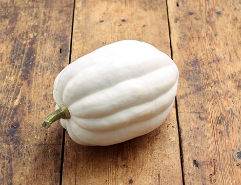 mashed potato squash