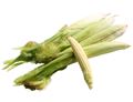 Baby Corn Baby Corn