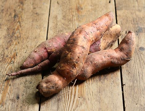 english sweet potato