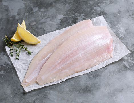 brill fillets