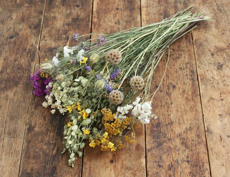 british dried flowers