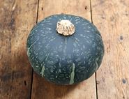 green kabocha squash