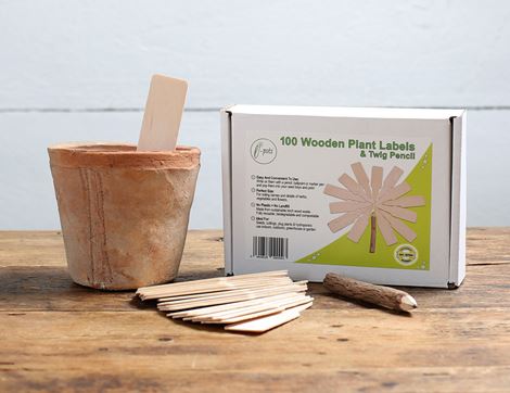 wooden plant labels sustainable birch e-pots