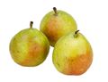 Comice Pears Comice Pears