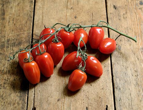speciality baby plum vine tomatoes