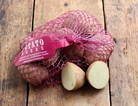 Ambo All-Rounder Seed Potatoes Potato House