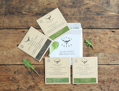 salad leaves seed selection vital seeds