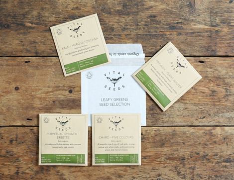 leafy greens seed selection vital seeds