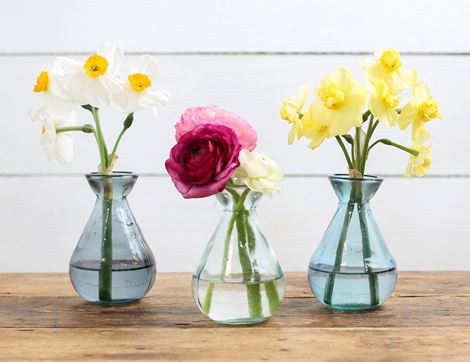 bud vase set of 3