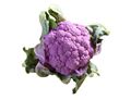 Purple Cauliflower