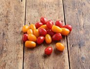 english mixed baby plum tomatoes