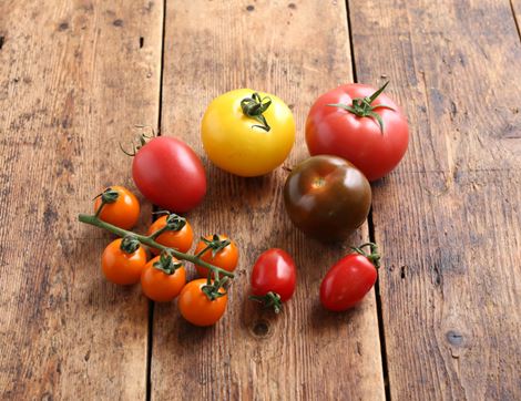 english mixed heirloom tomatoes
