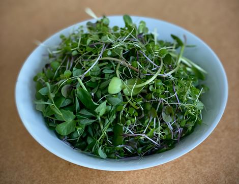 superfood salad mix growing underground 70g