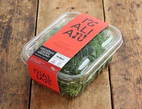 Italian Salad Mix, Growing Underground (70g)