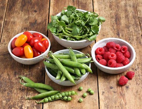 Summer Picnic Bundle, Organic