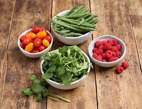 Summer Picnic Bundle, Organic
