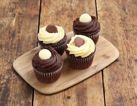 chocolate cupcakes famous hedgehog bakery