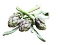 Purple Artichokes