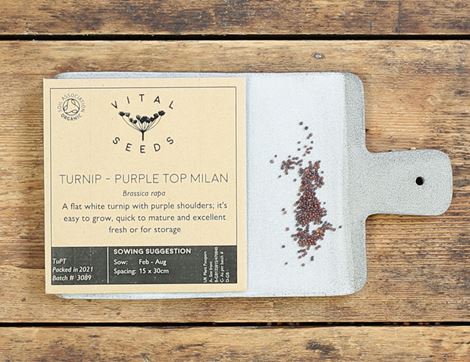 purple turnip seeds vital seeds