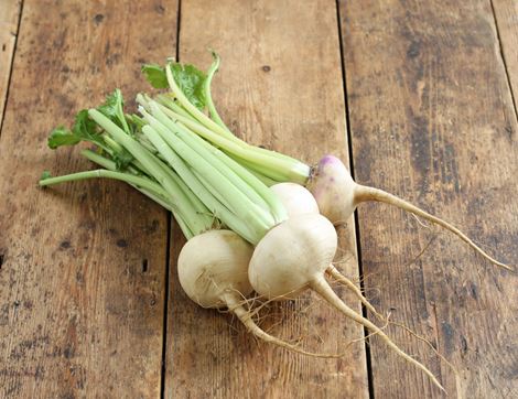bunched baby turnips