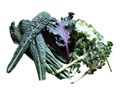 Kale Mix Trio, 300g (each) Kale Mix Trio, 300g (each)