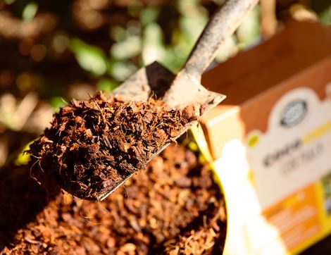 Coco Chip Mulch, Suitable for Organic Growing, Coco & Coir (60L)