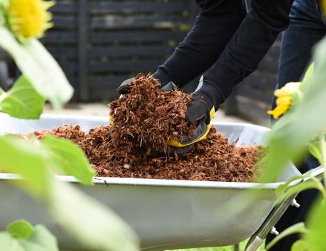 Coco Chip Mulch, Suitable for Organic Growing, Coco & Coir (60L)