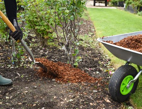 Coco Chip Mulch, Suitable for Organic Growing, Coco & Coir (60L)