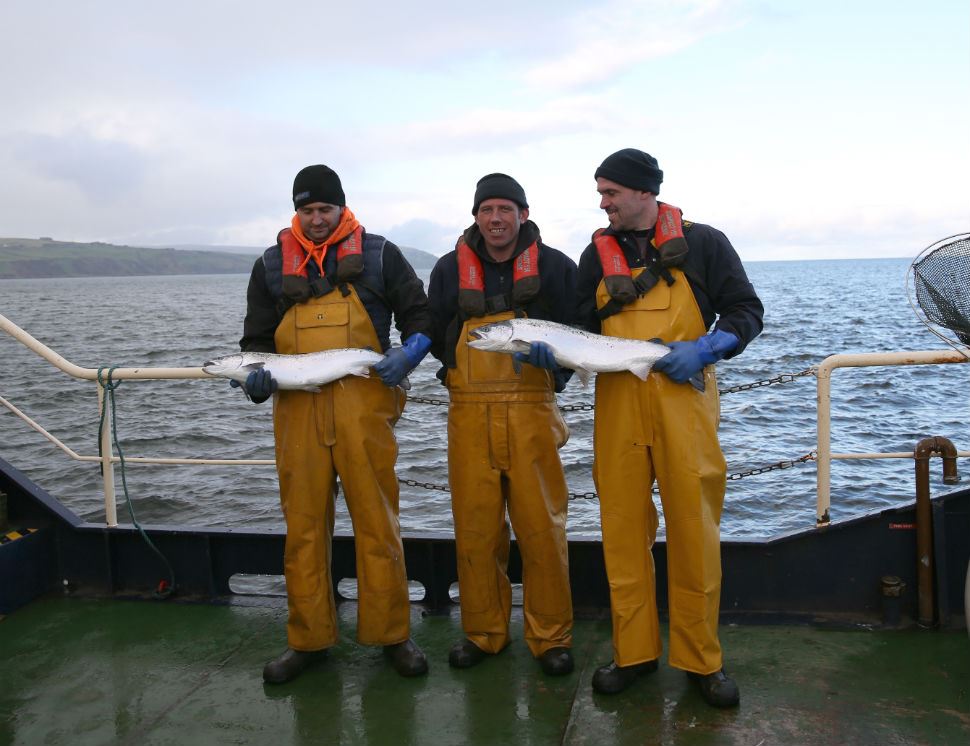 Glenarm Organic Salmon