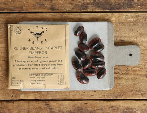 runner bean seeds scarlet emperor vital seeds