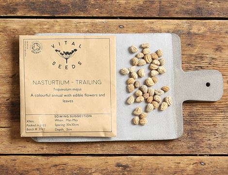 nasturtium seeds trailing vital seeds