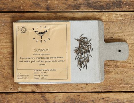 cosmos seeds vital seeds