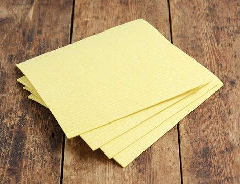 Compostable Sponge Cloths, ecoLiving (4 pack)