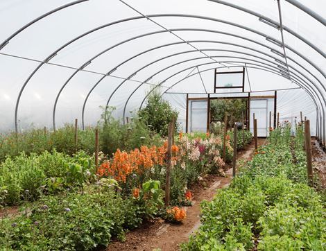 The Organic Blooms Gardening Club