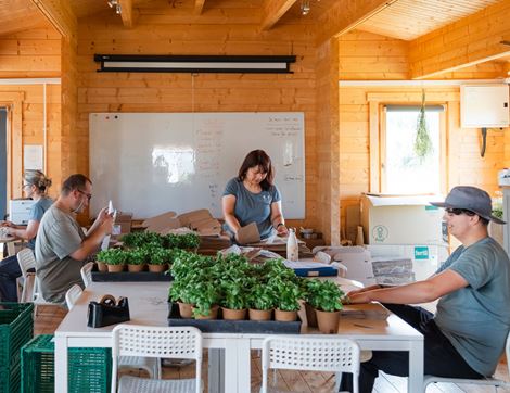 The Organic Blooms Gardening Club