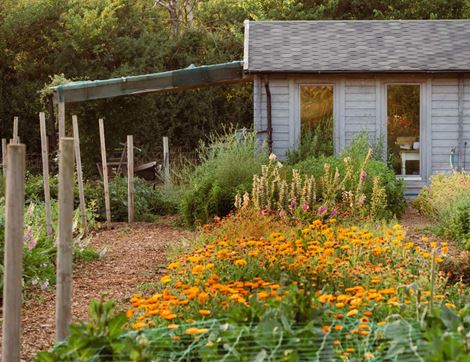 The Organic Blooms Gardening Club