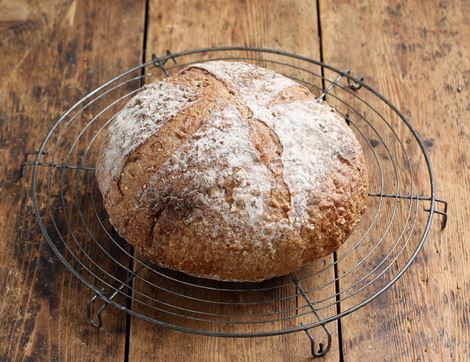 malted multi-seed sourdough bread authentic bread co.