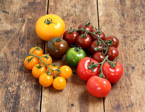 English Mixed Heirloom Tomato Tray, Organic (1kg)