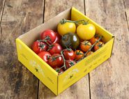 English Mixed Heirloom Tomato Tray, Organic (1kg)