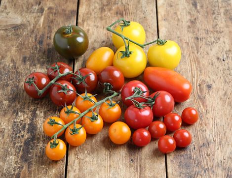 English Mixed Heirloom Tomato Tray, Organic (1kg)