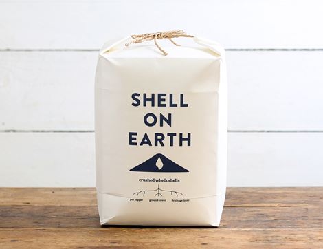 crushed whelk shells shell on earth
