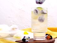 Hugo Prosecco Cocktail
